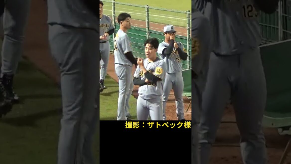 阪神ファーム 西勇輝/ゲラ/木下/島本/小川/富田/工藤/岡留/ネルソン