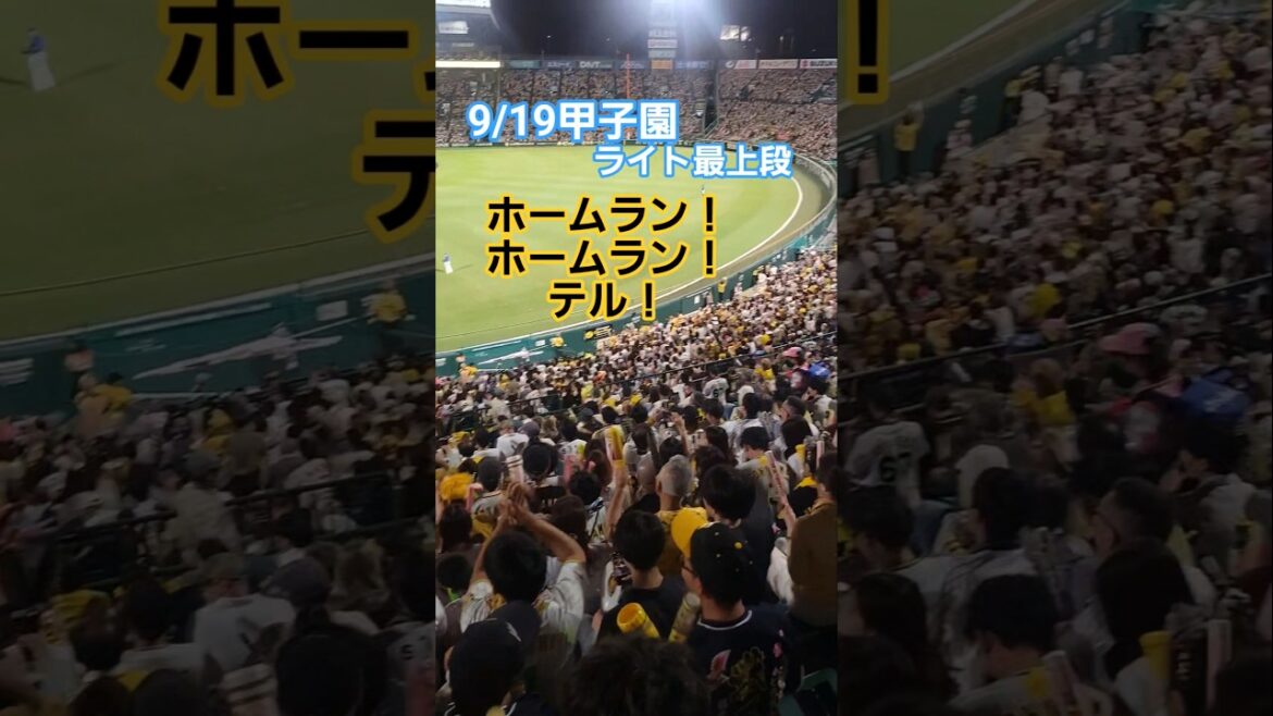 佐藤輝明にホームランコール！ #阪神タイガース #hanshintigers #阪神 #甲子園 #佐藤輝明 #阪神応援 #ショート #shorts #プロ野球#野球