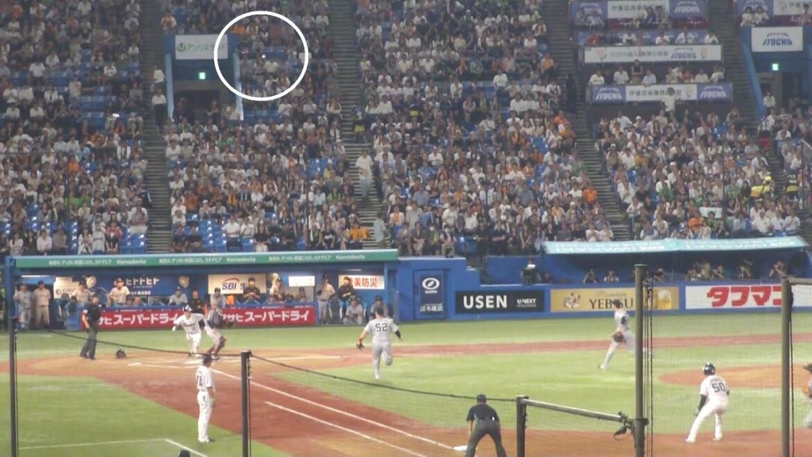 ヤクルト バッター古賀優大 キャッチャーフライで送りバント失敗　ヤクルト vs 巨人　2025年9月17日(水)　神宮球場