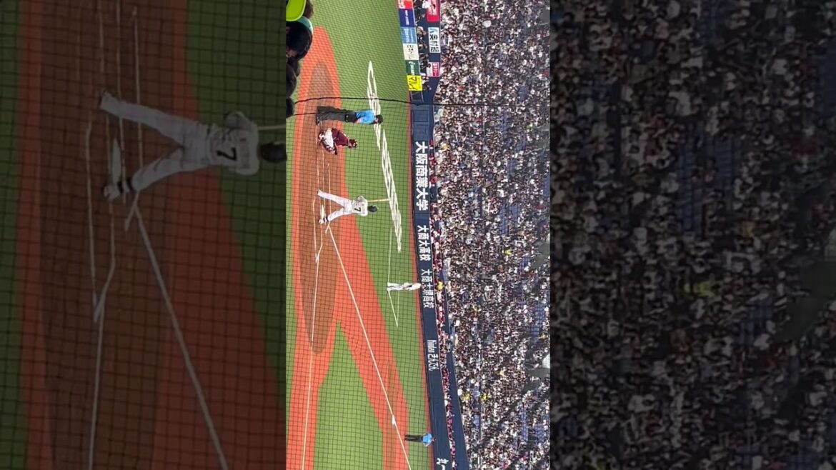 【オリックス】西川龍馬選手 オリックスバファローズ