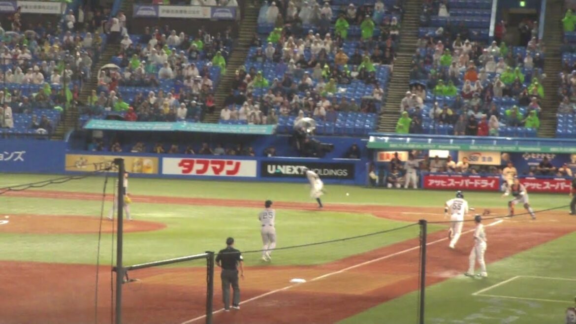 巨人 岡本和真のキャッチによる、523のホームゲッツーのダブルプレー　ヤクルト vs 巨人　2025年9月18日(木)　神宮球場