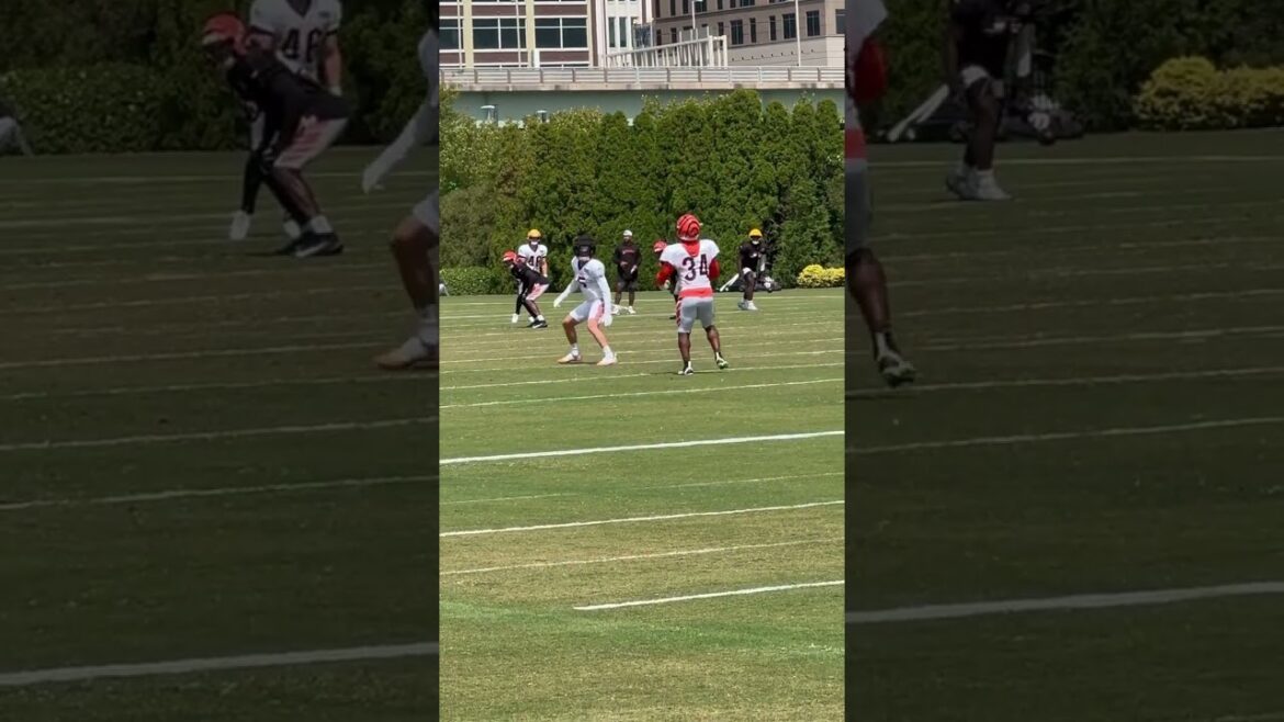 Samaje Perine fields kick and Charlie Jones blocks Thursday in Bengals full pads practice