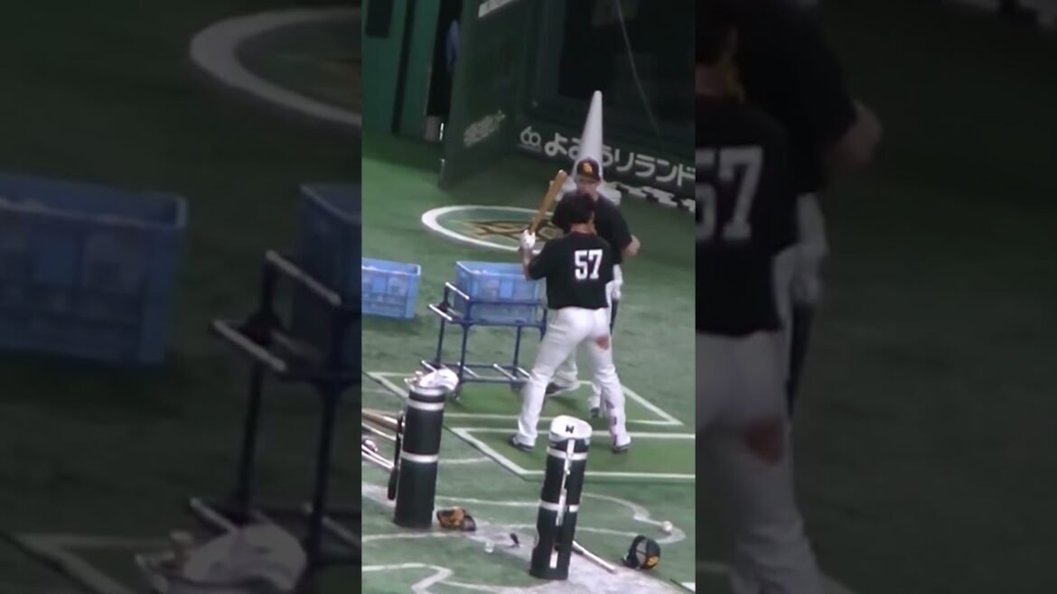 【ソフトバンク】緒方理貢のティーバッティング＜読売ジャイアンツ対 福岡ソフトバンクホークス2024年5月28日＞