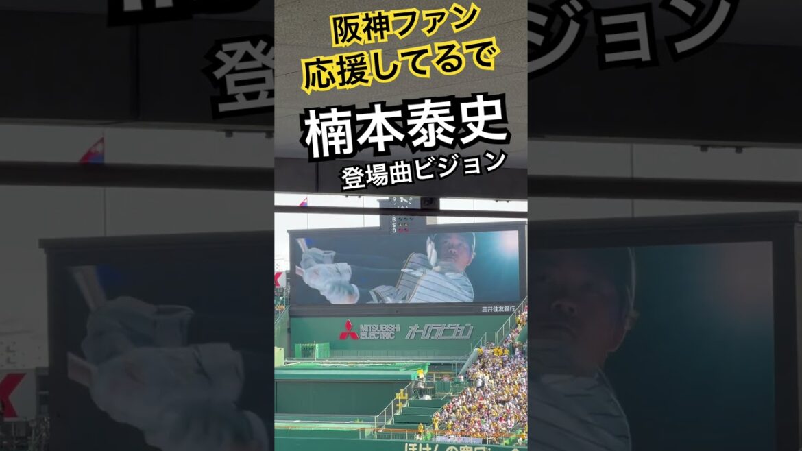 #楠本泰史 #登場曲 ビジョン #阪神応援 #阪神 #阪神タイガース #hanshintigers #tigers #hanshin #koshine #阪神登場曲 #阪神応援
