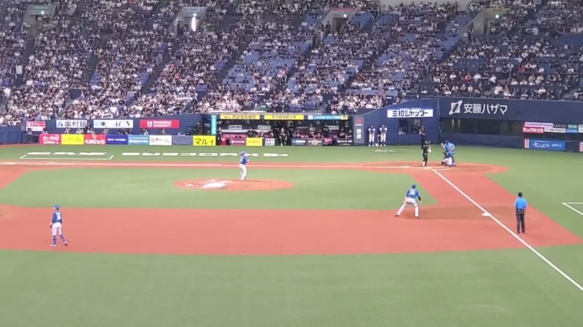 20240818　覚醒する弘角打法♪【西野真弘 応援歌】　5回ｳﾗ　ｵﾘｯｸｽ･ﾊﾞﾌｧﾛｰｽﾞ@京ｾﾗﾄﾞｰﾑ大阪･ﾚﾌﾄ外野下段 Bs夏の陣2024