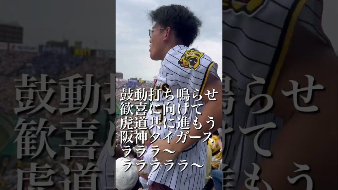 虎道/阪神タイガース/新応援歌