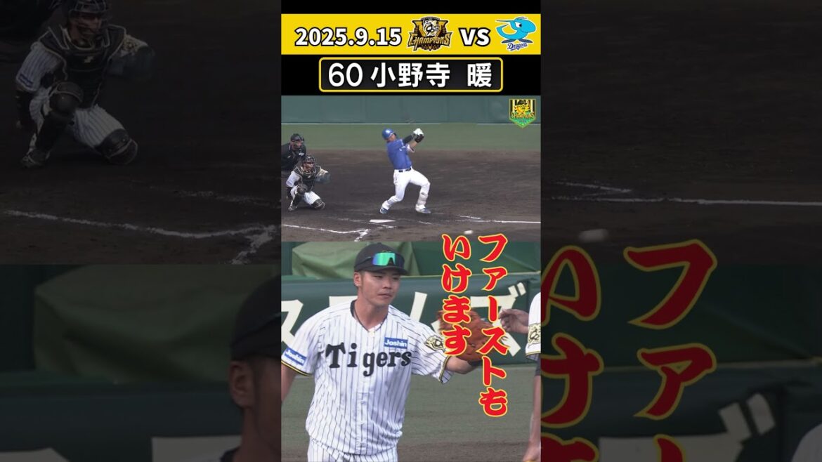 【小野寺 ファーストでも躍動!】好反応でダイビングキャッチ!どこでも守れるユーティリティプレイヤー!(2025年9月15日 阪神-中日) #サンテレビボックス席 #shorts 【小野寺 ファーストでも躍動!】好反応でダイビングキャッチ!どこでも守れるユーティリティプレイヤー!(2025年9月15日 阪神-中日) #サンテレビボックス席 #shorts