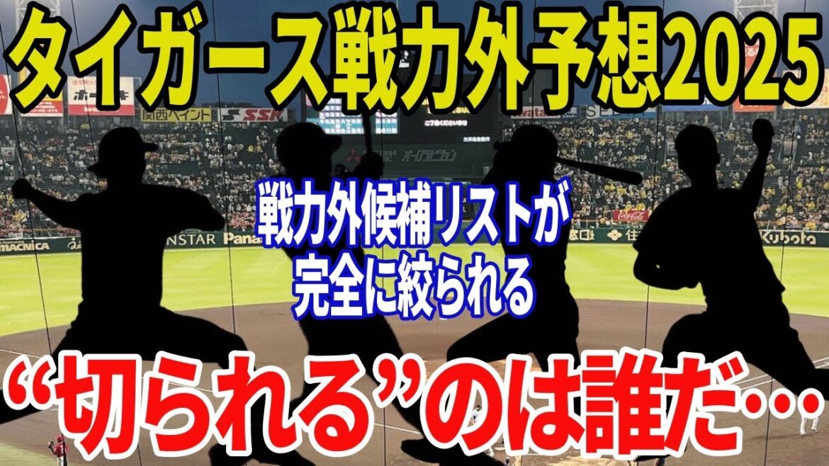 【阪神タイガース】2025オフ戦力外通告候補を徹底予測…外国人投手からベテラン野手まで退団危機が現実に…