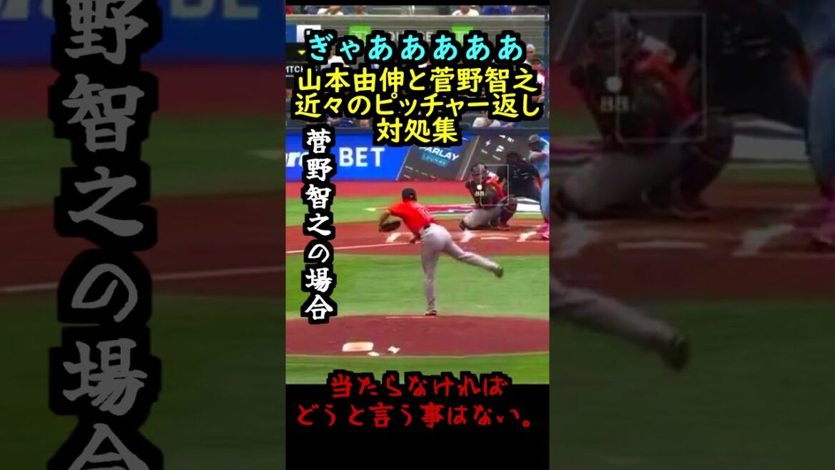 【ロサンゼルス・ドジャース】山本由伸 と菅野智之 近々のピッチャー返し対処集【ボルチモア・オリオールズ】#大谷翔平 #野球#MLB 【ロサンゼルス・ドジャース】山本由伸 と菅野智之 近々のピッチャー返し対処集【ボルチモア・オリオールズ】#大谷翔平 #野球#MLB