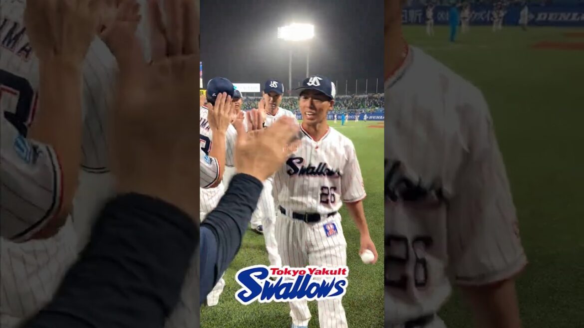 勝利後のハイタッチ #swallows #shorts