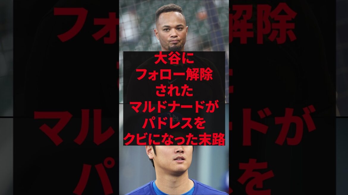 「翔平、お前なら分かってくれるだろ」大谷にフォロー解除されたマルドナードがパドレスをクビになった末路