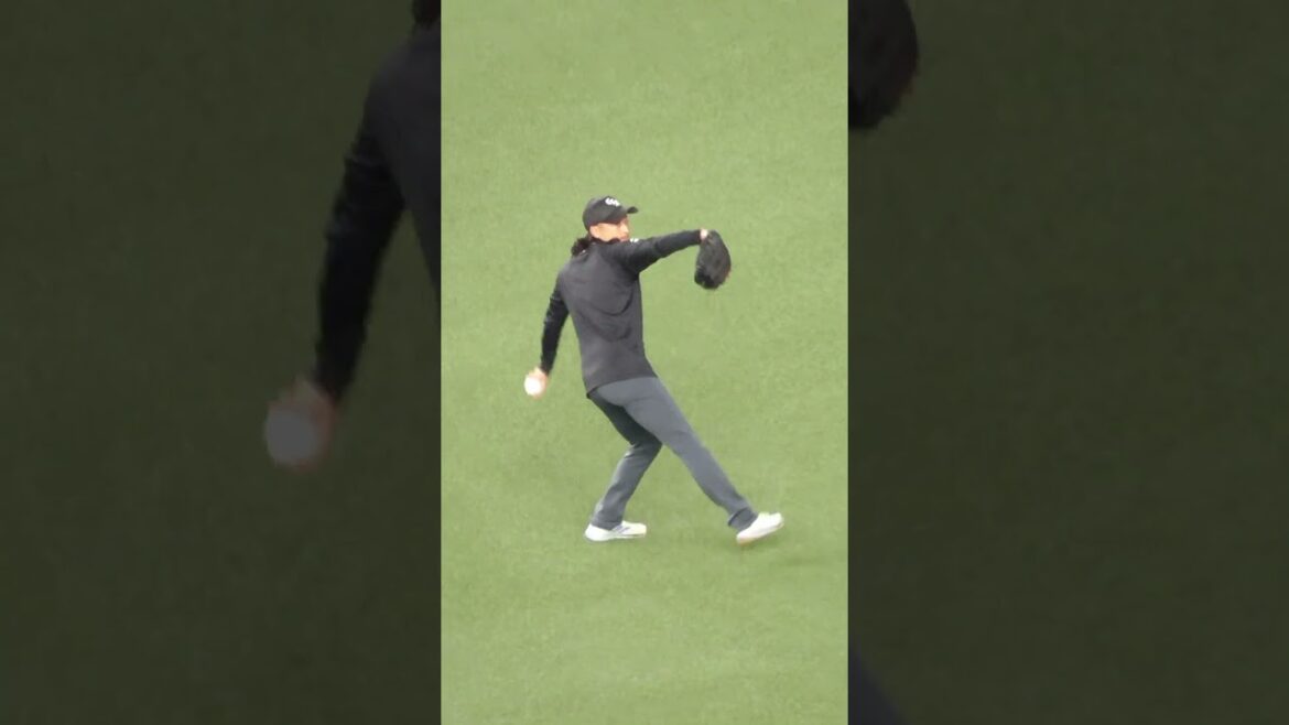 坂本 光士郎　ハマショウ大好き J.BOY 左腕　#千葉ロッテマリーンズ #shorts