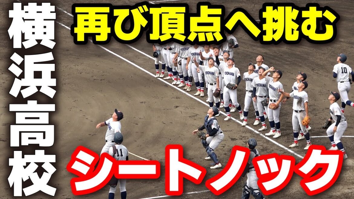 再び頂点へ挑む！横浜高校 新チームでも圧巻の守備力　シートノック   【高校野球 秋季神奈川大会  4回戦 横浜 vs 川和】 横浜高校   2025.9.20 甲子園
