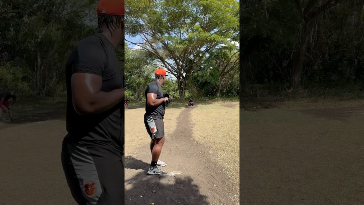 Pitcher Dominicano Juan de los santos - 97 MILLAS ⚾️ #mlb #baseball #parati