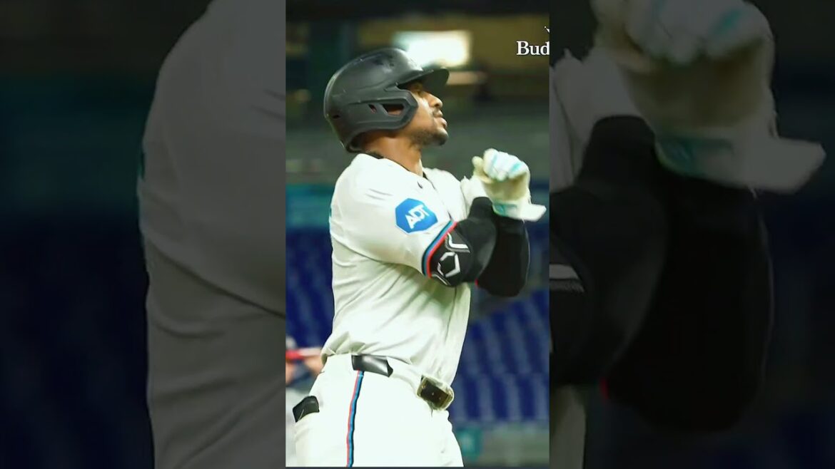 Xavier EDWARDS HR.#3 Season 2025 Marlins AVG.282 AB 522 RBI 39