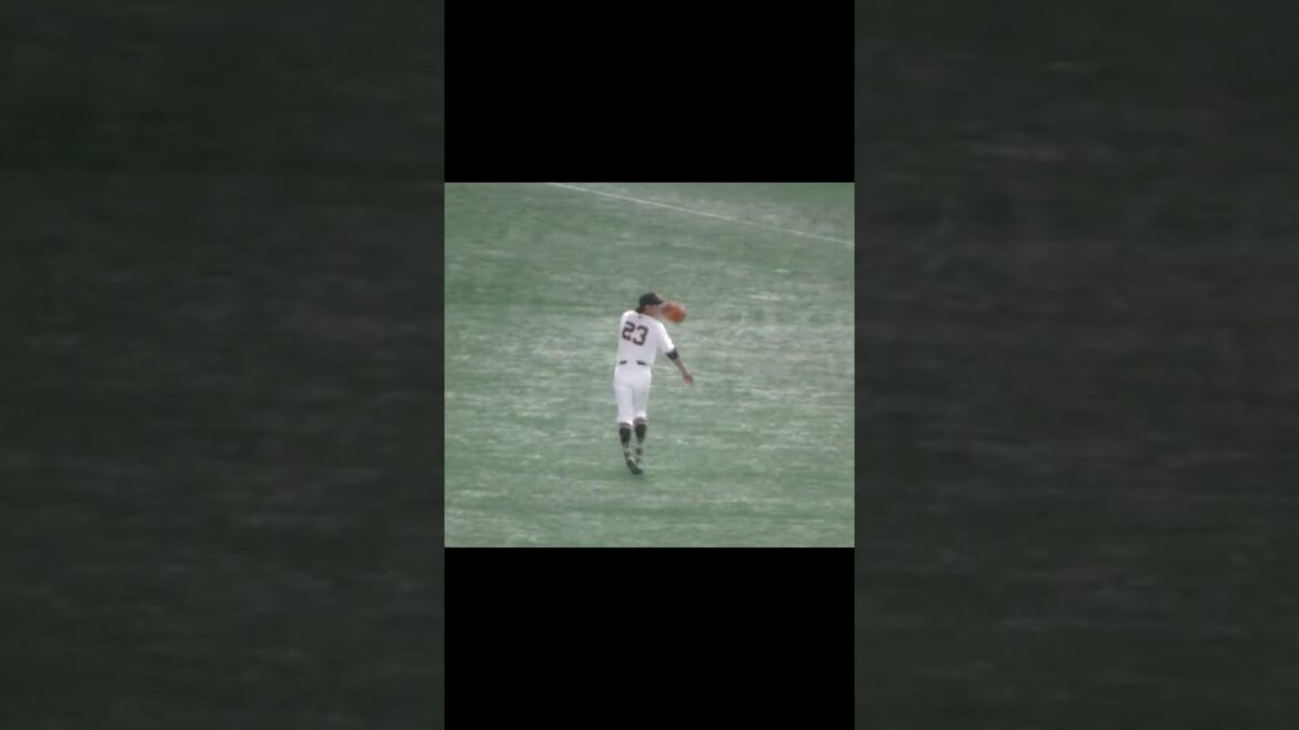 立岡宗一郎などのバックホーム2024年9月14日 東京ドーム