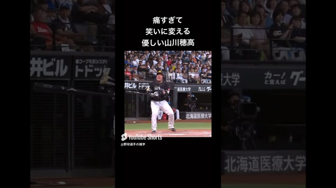 優しい男山川穂高　#shorts #野球 #野球雑学 #雑学 #プロ野球 #メジャーリーグ #山川穂高