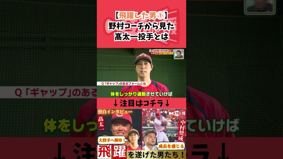 今季飛躍を遂げた髙太一🔥野村コーチの期待感！【球団認定】カープ全力応援チャンネル