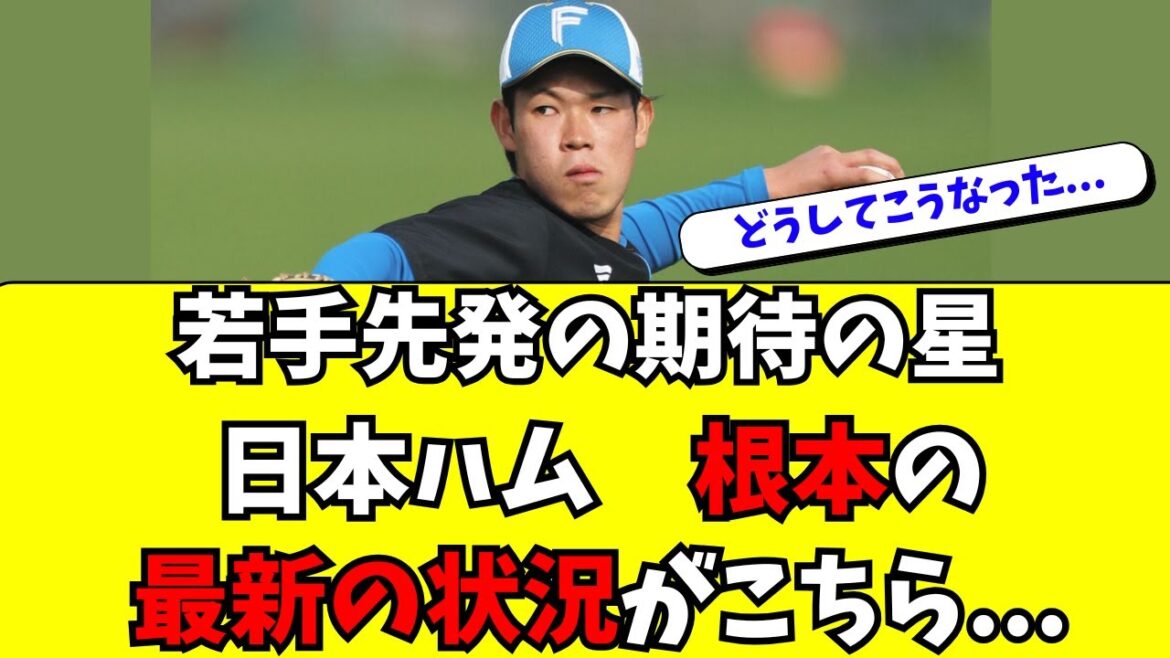 【日本ハム】期待の若手先発左腕・根本悠楓の最新の状況