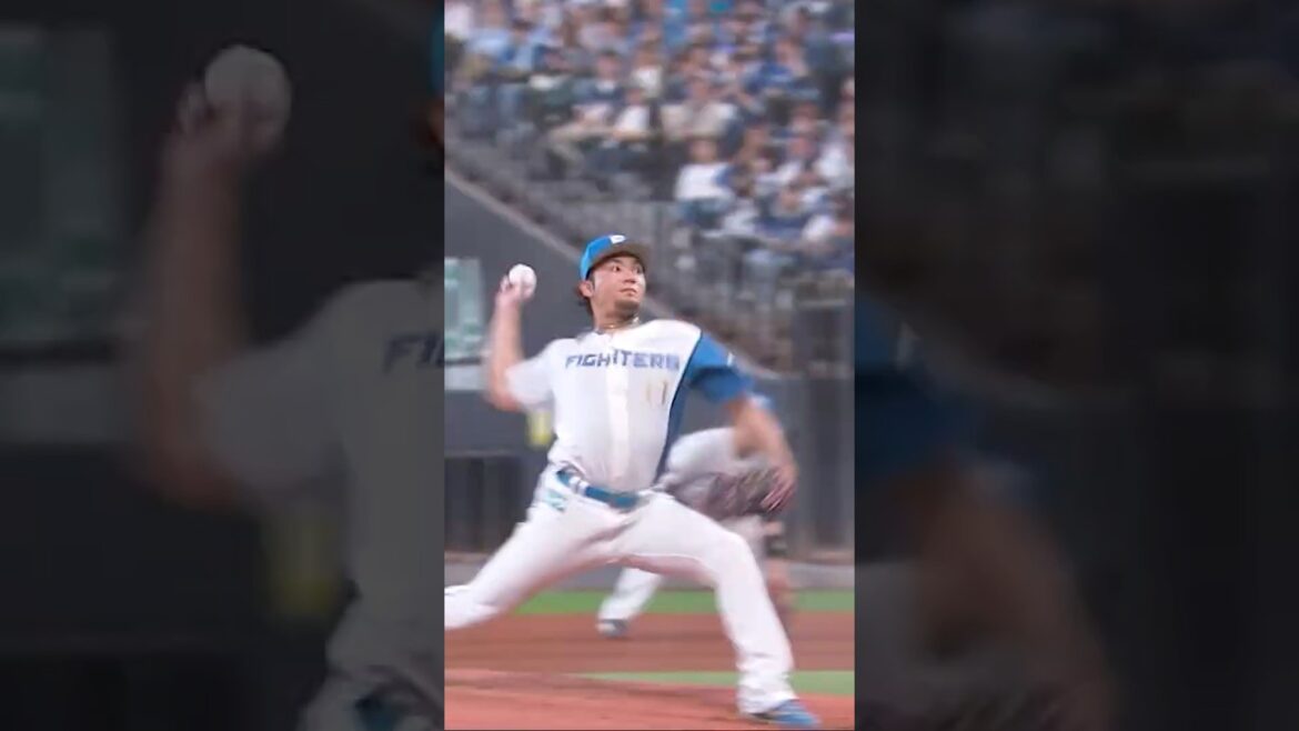 【15勝目を目指す伊藤大海がマウンドへ！】9/22  vs.千葉ロッテマリーンズ