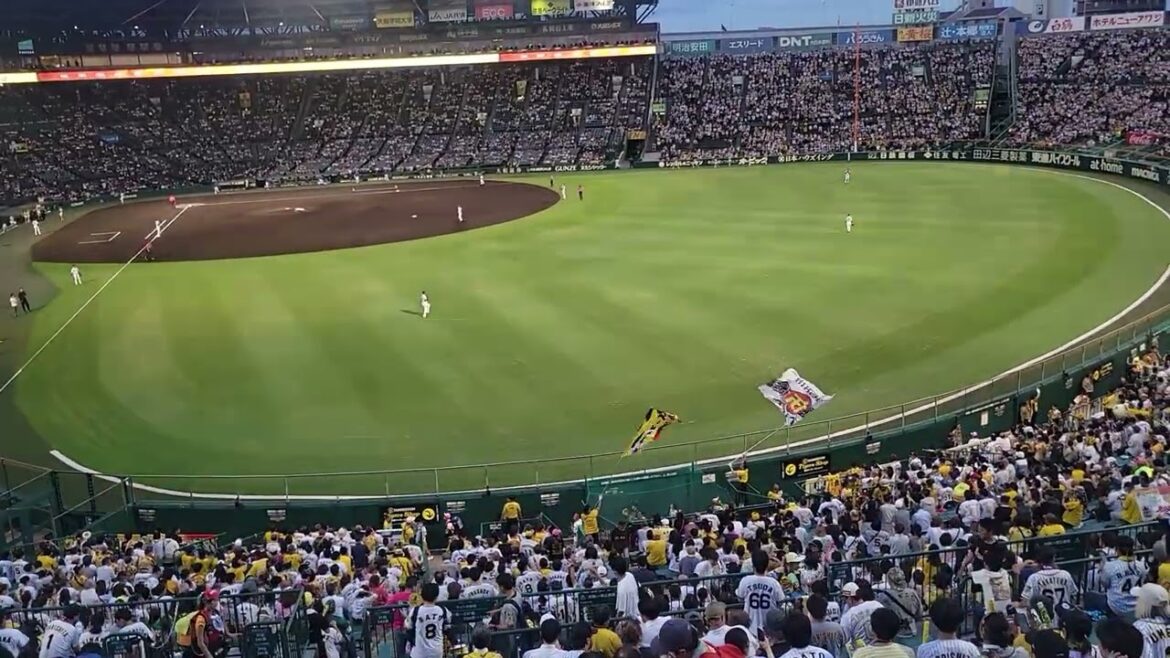 2025/9/19甲子園　守備につく阪神ナイン！#タイガース#阪神タイガース#阪神応援#hansin#近本光司#中野拓夢 #森下翔太#佐藤輝明#大山悠輔#木浪聖也