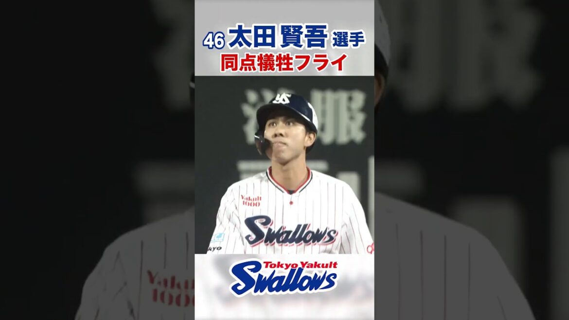 太田賢吾選手 同点犠牲フライ #swallows #太田賢吾 #shorts 太田賢吾選手 同点犠牲フライ #swallows #太田賢吾 #shorts