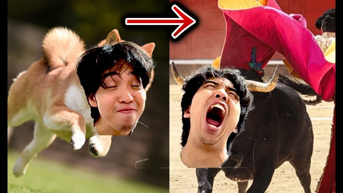 オリックスがホークスという飼い主を食い散らかして,闘牛になりました。 オリックスがホークスという飼い主を食い散らかして,闘牛になりました。