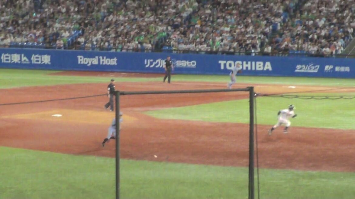 ヤクルト 並木秀尊 タイムリーヒット この試合2本目のタイムリー　ヤクルト vs 阪神　2025年9月21日(日)　神宮球場