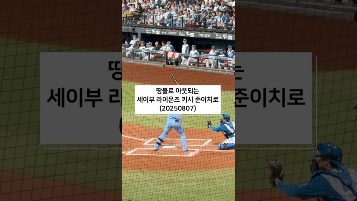 埼玉西武ライオンズ　岸潤一郎　ゴロアウト