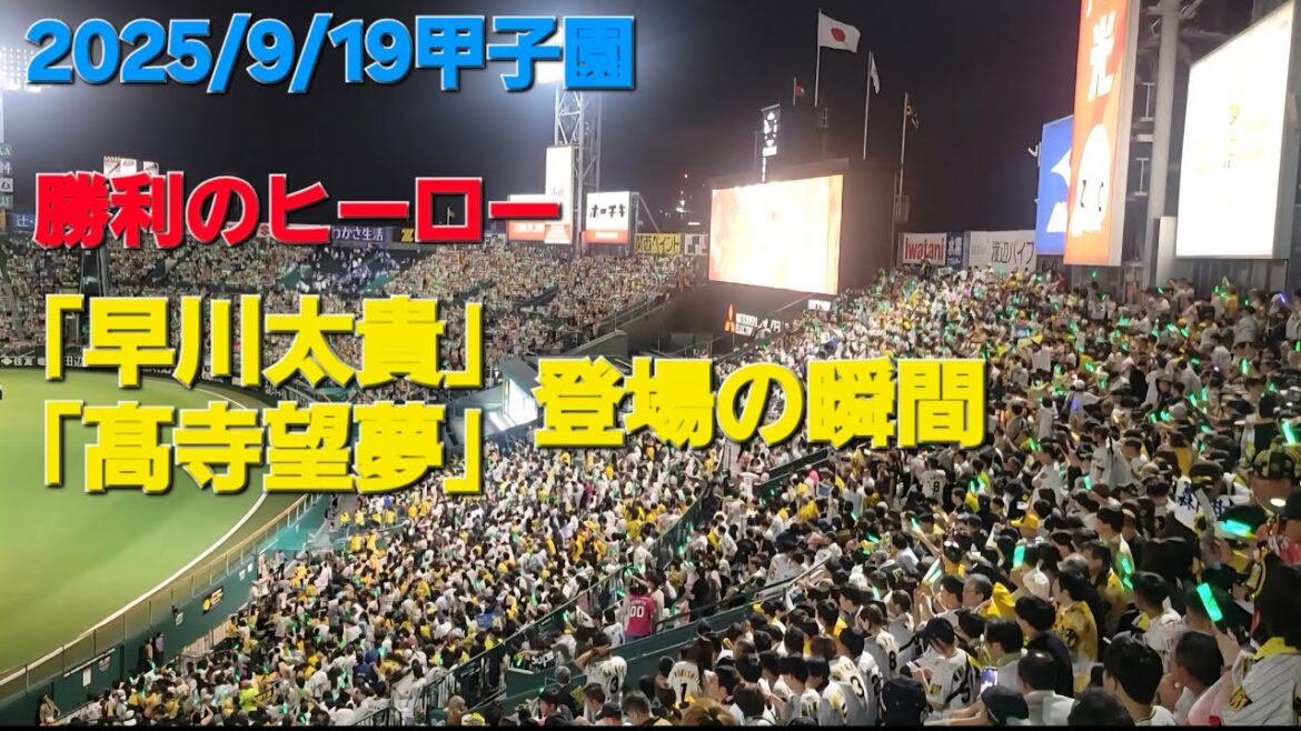 2025/9/19甲子園 勝利のヒーロー髙寺と早川登場！#早川太貴#髙寺望夢#阪神タイガース#阪神#hanshintigers #タイガース#阪神応援