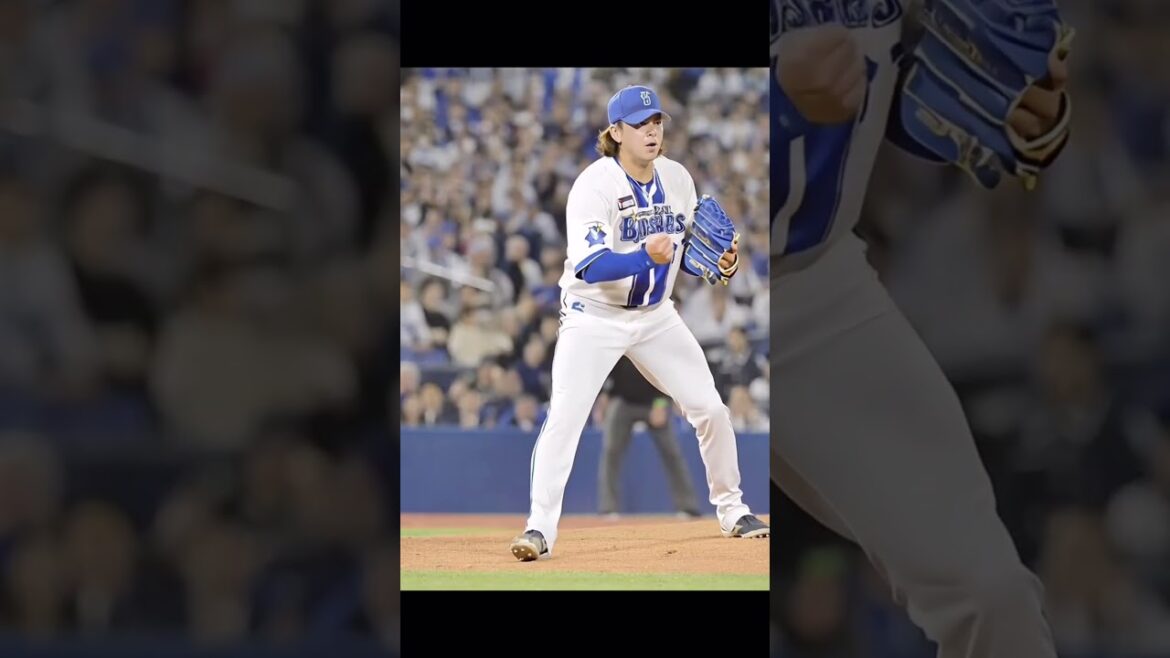 入江ちゃん 出直そうぜ #野球#横浜ベイスターズ #ベイスターズ#ベイスターズ好きと繋がりたい #入江大生