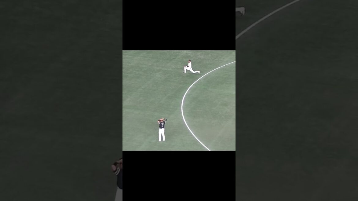 【フュージョンみたいになっとる】坂本勇人と近藤健介【読売ジャイアンツ対ソフトバンクホークス2024年5月30日】