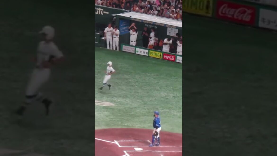 吉川尚輝1点差に迫られたあとホームランでベンチがめっちゃ盛り上がる（読売ジャイアンツ 対 中日ドラゴンズ 2024年9月16日）