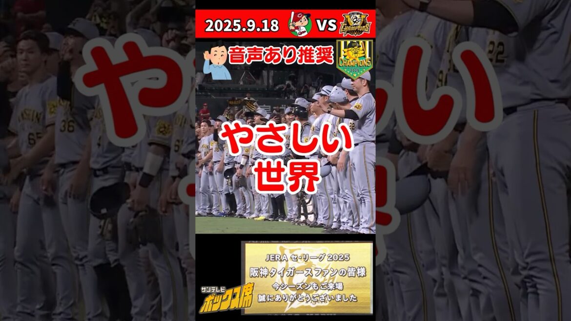 【やさしい世界】マツダスタジアムでの最終戦を終えたタイガースナインに温かい場内アナウンス（2025年9月18日 阪神－中日） #サンテレビボックス席