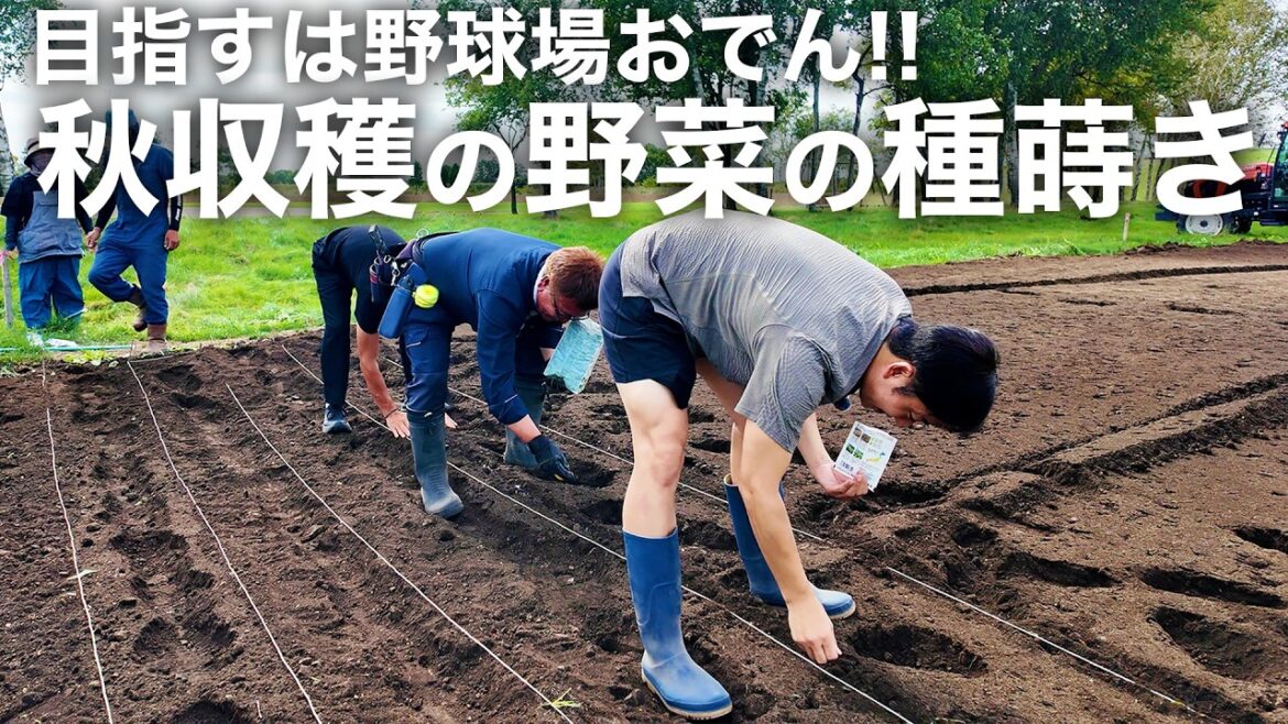 目指すはおでんの具材!! 極早生秋野菜の種蒔き
