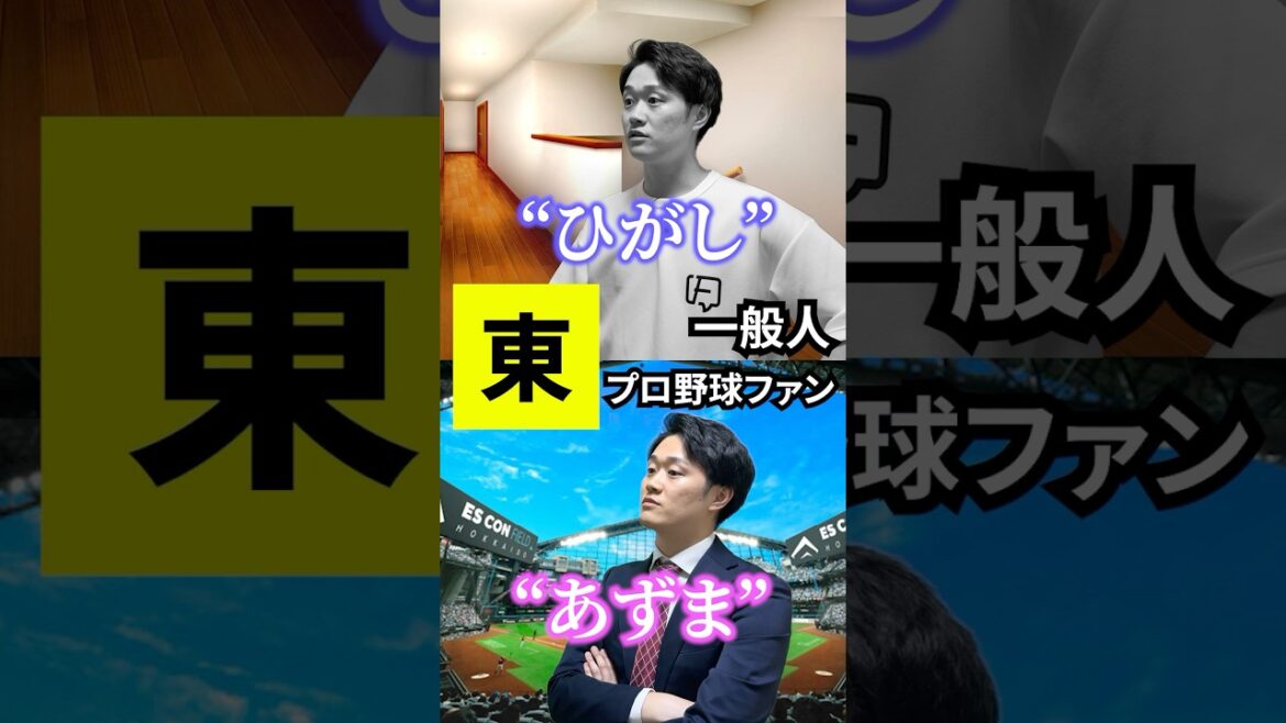 一般人とプロ野球ファンの違い