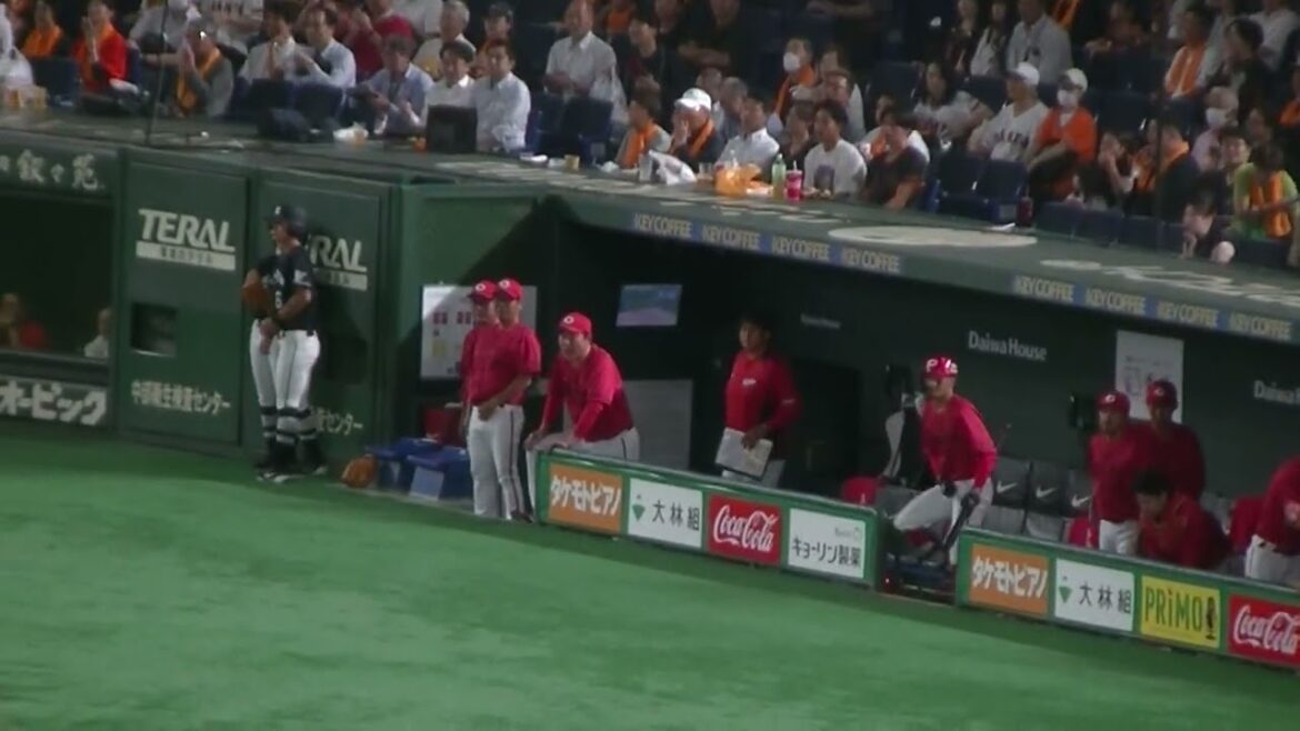 坂倉将吾の先制タイムリーヒットに盛り上がるカープベンチ（読売ジャイアンツ対 広島カープ 2025年9月19日）