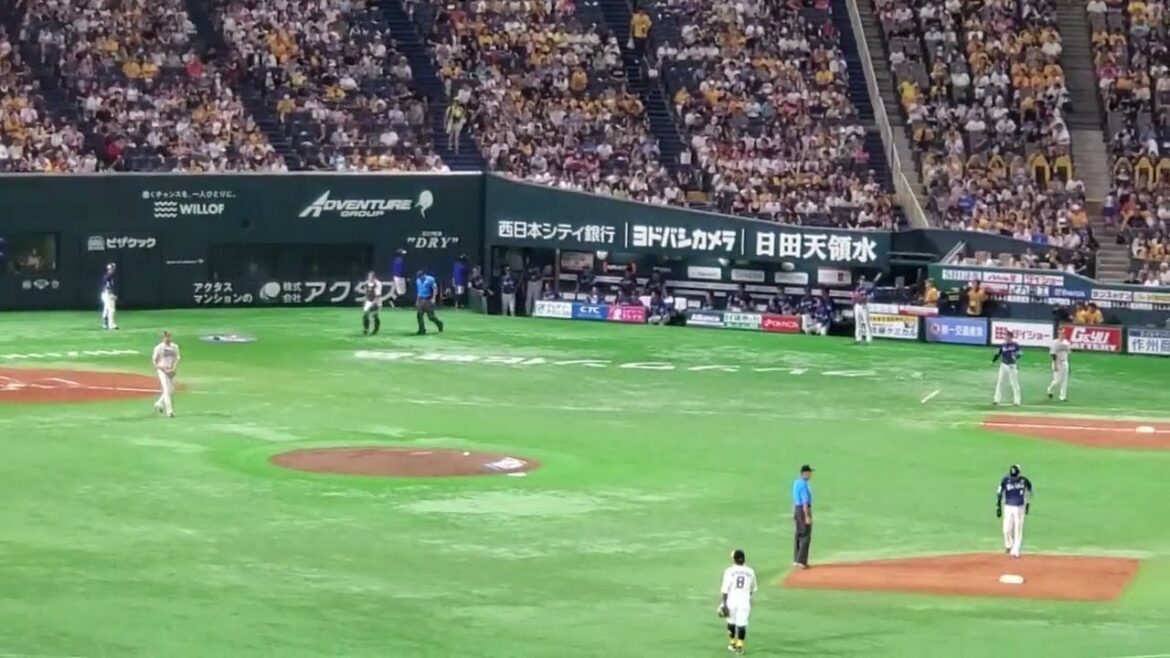 20240907 かけろひらぬま♪【平沼翔太 応援歌】 1回表 埼玉西武ライオンズ@みずほPayPayドーム福岡・外野ライト 20240907 かけろひらぬま♪【平沼翔太 応援歌】 1回表 埼玉西武ライオンズ@みずほPayPayドーム福岡・外野ライト