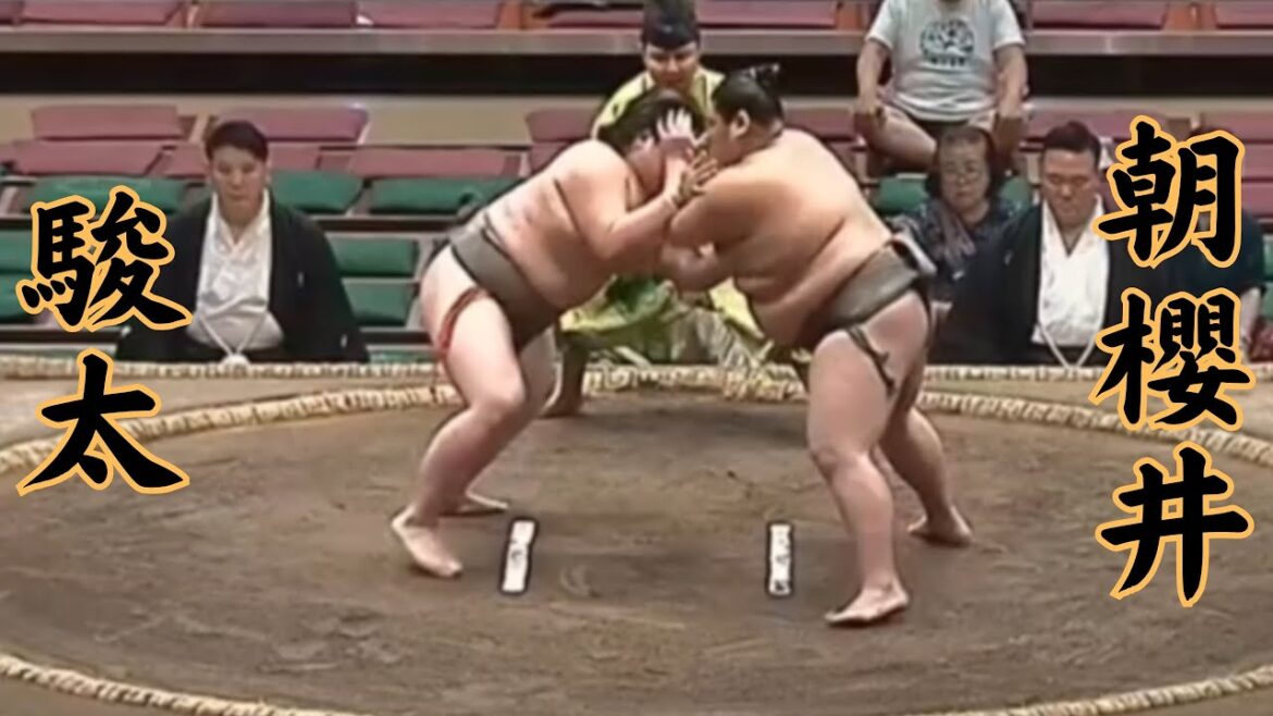 駿太VS朝櫻井 令和7年9月場所11日目 #sumo #相撲