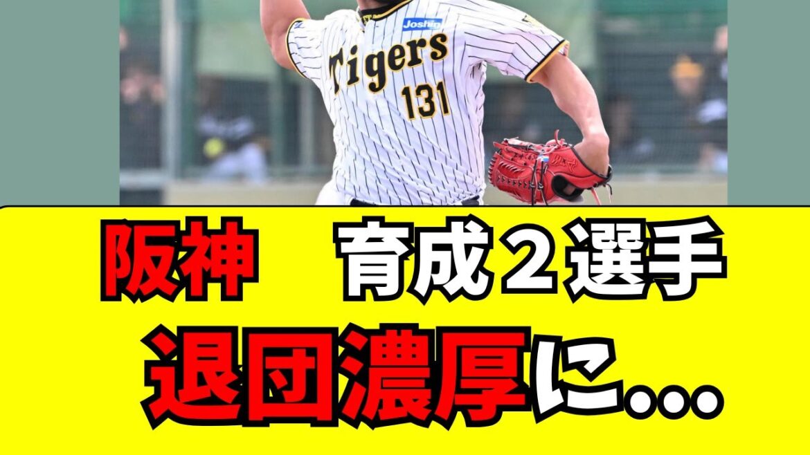 【阪神】育成２選手が退団濃厚になっている件・・・