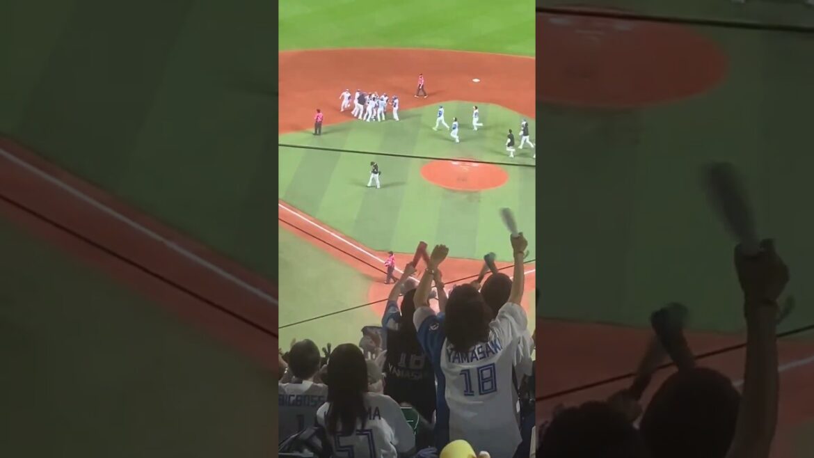 日本ハム 淺間大基 代打サヨナラタイムリーヒット #プロ野球 #baseball #淺間大基 #日本ハム #ファイターズ #野球 #baseball #sports #ロッテ #エスコン　#mlb