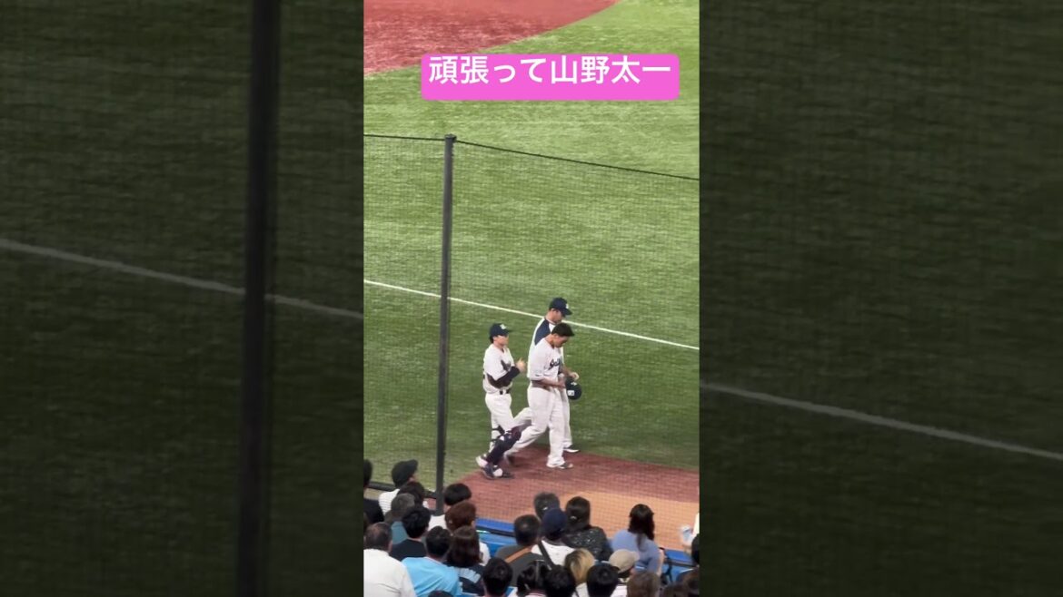 山野太一投手陣頑張って！ヤクルトスワローズ