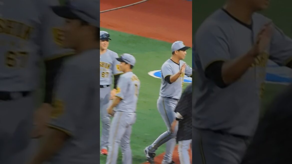 【全野手とハイタッチ】今日も無失点に抑え野手とハイタッチしてからベンチに引き上げる畠世周