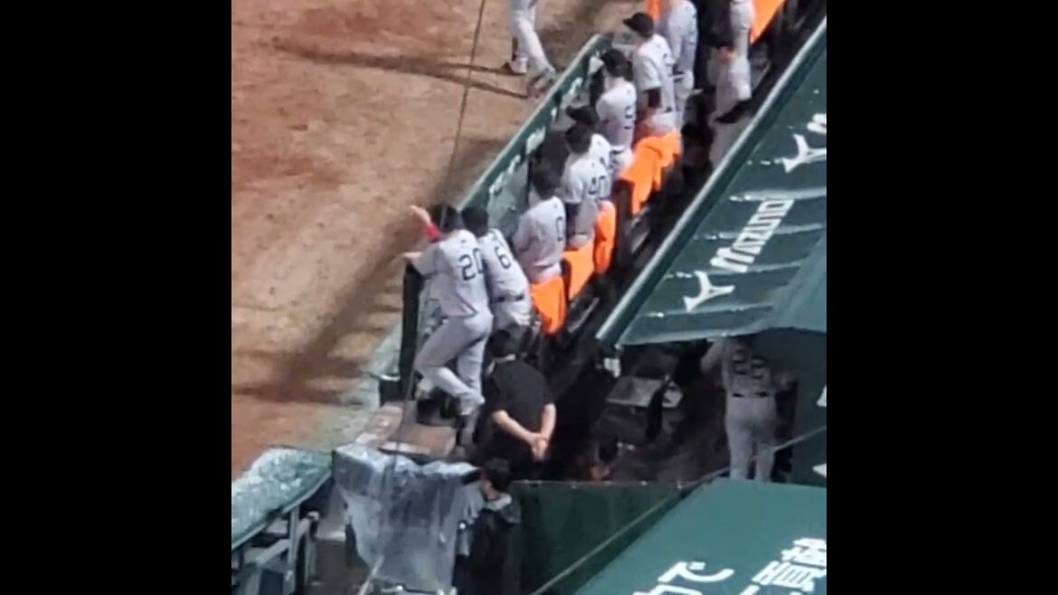 20250923　ベンチで大喜びの小林誠司捕手　#shorts　読売ｼﾞｬｲｱﾝﾂ(巨人)@MAZDA Zoom-Zoom ｽﾀｼﾞｱﾑ広島･ﾋﾞｼﾞﾀｰﾊﾟﾌｫｰﾏﾝｽ