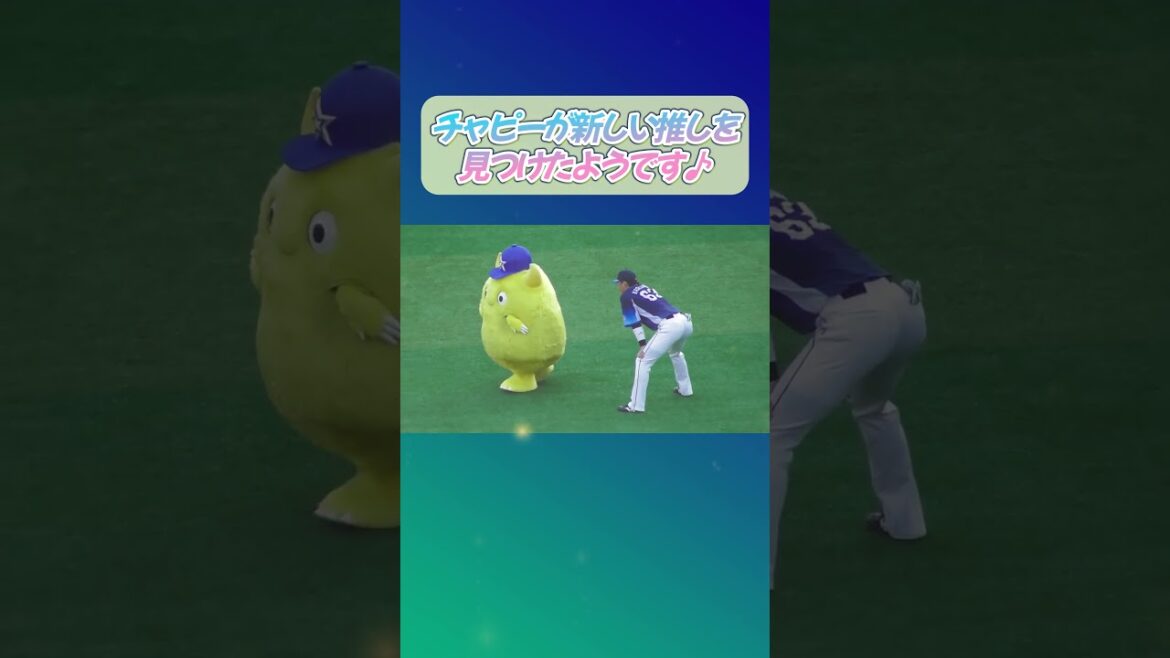 【2025/6/17 横浜スタジアム】チャピーは早速若獅子の中からお気に入りを見つけたようです♪　#shorts