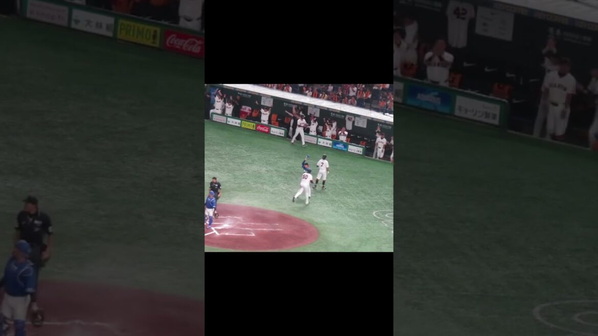 【巨人ベンチ】岸田行倫タイムリーヒットで盛り上がる様子（読売ジャイアンツ 対 中日ドラゴンズ 2024年9月16日）