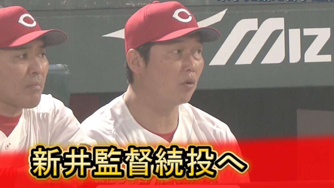 【Carp】新井監督続投へ 来季見据え若手起用進める|勝ちグセ|カープ 【Carp】新井監督続投へ 来季見据え若手起用進める|勝ちグセ|カープ