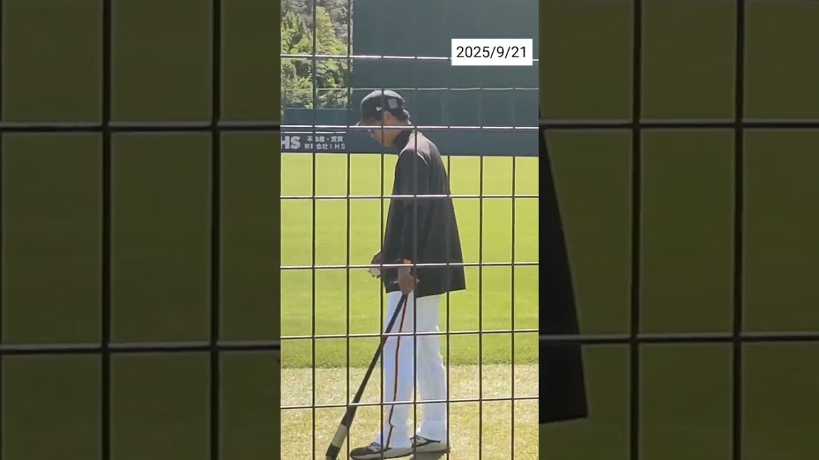 【GIANTS】立岡宗一郎コーチのノックを受ける巨人3軍の外野手 #shorts #巨人 #ジャイアンツ #プロ野球