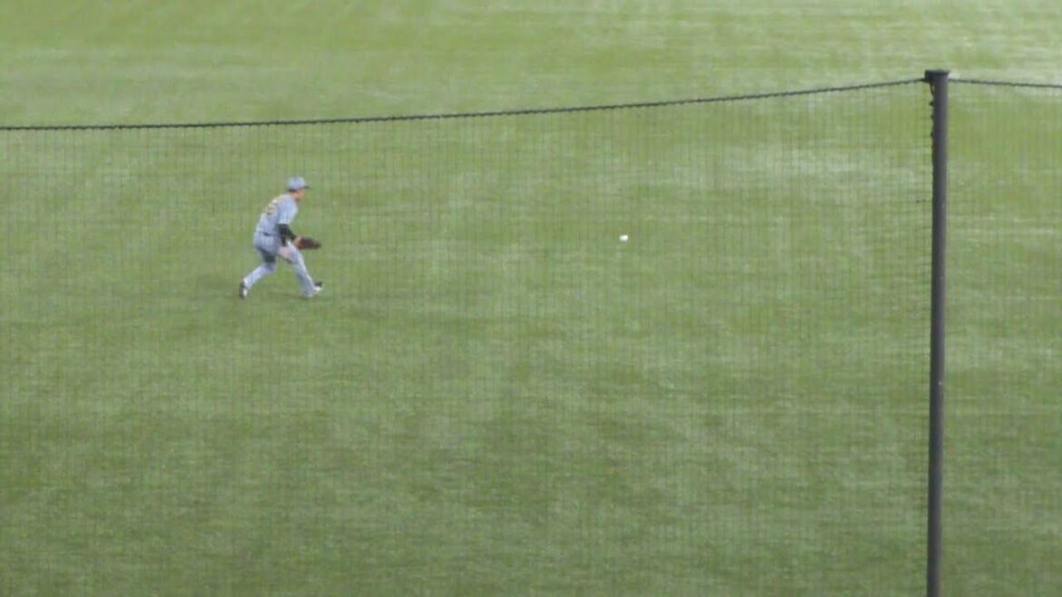 ヤクルト 並木秀尊 タイムリーヒット　ヤクルト vs 阪神　2025年9月21日(日)　神宮球場