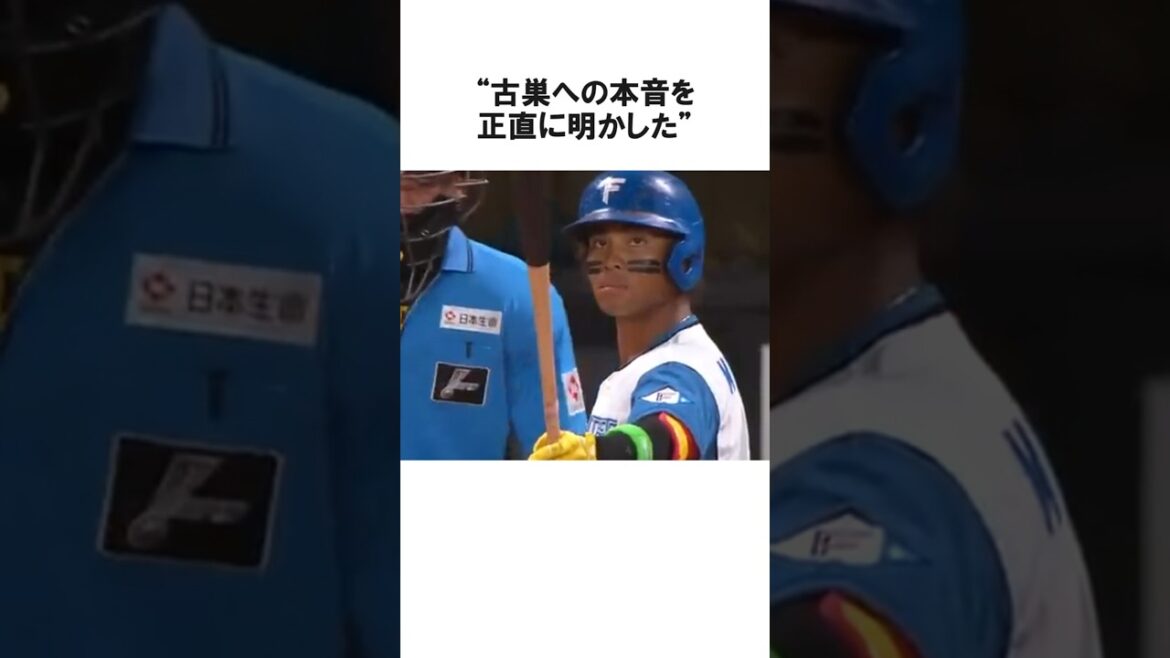 古巣への本音を衝撃告白した水谷瞬に関する雑学【プロ野球/NPB】 古巣への本音を衝撃告白した水谷瞬に関する雑学【プロ野球/NPB】